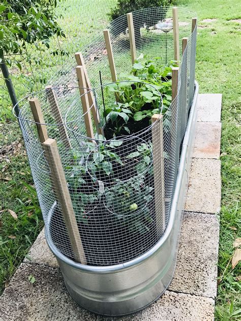 pinterest metal garden boxes|galvanized steel tubs for gardening.